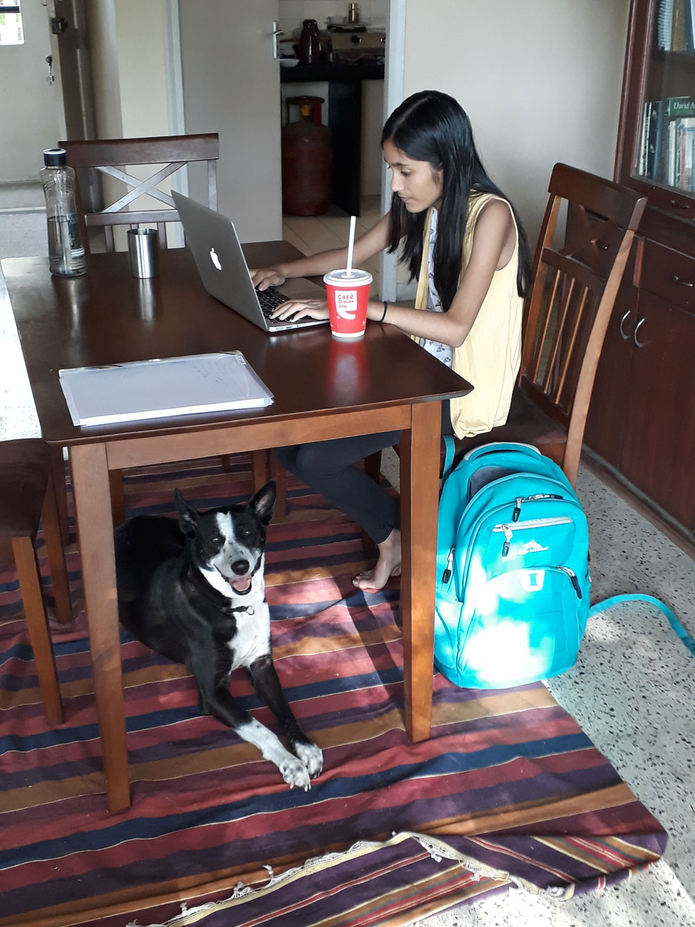 Nishita Bakshi writing Tara's autobiography whilst Tara (The Mentorship Studio's mascot) keeps her company